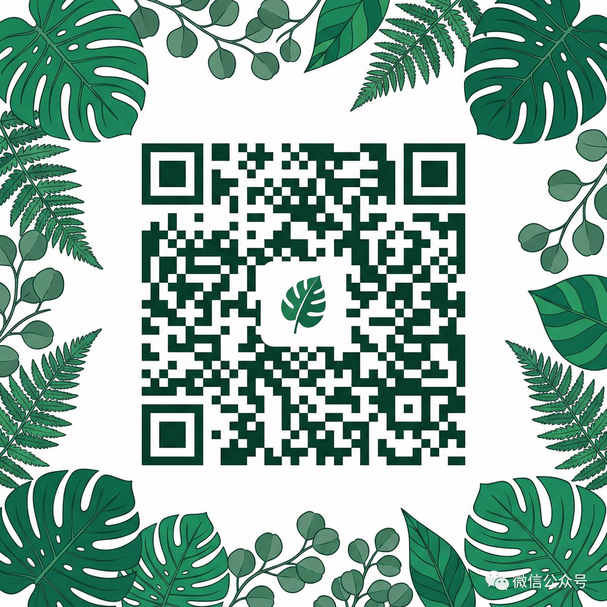 高清视频公众号